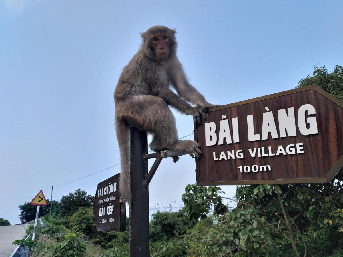 Monkeyland Cham Island Homestay Tan Hiep  Luaran gambar